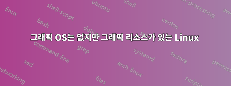 그래픽 OS는 없지만 그래픽 리소스가 있는 Linux