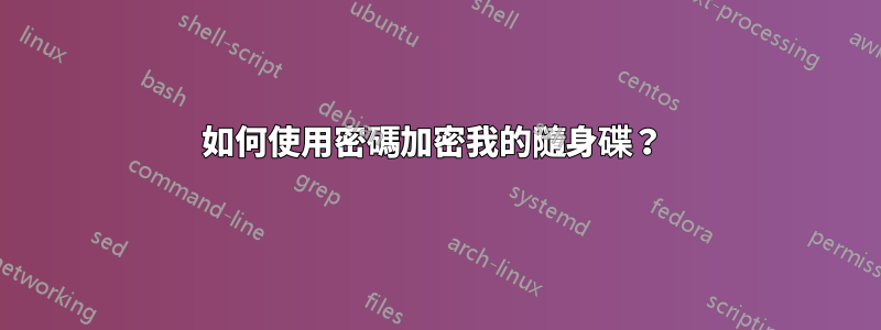 如何使用密碼加密我的隨身碟？ 