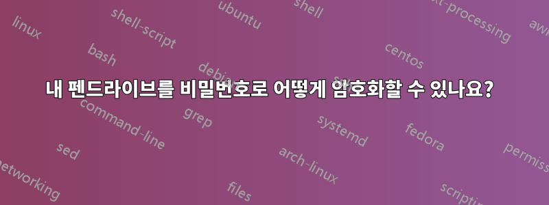 내 펜드라이브를 비밀번호로 어떻게 암호화할 수 있나요? 