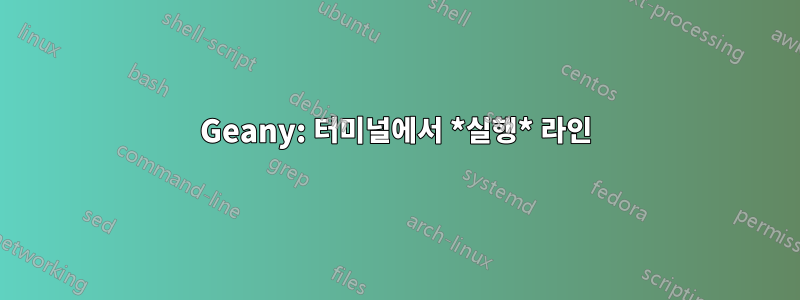 Geany: 터미널에서 *실행* 라인