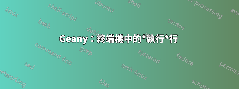 Geany：終端機中的*執行*行