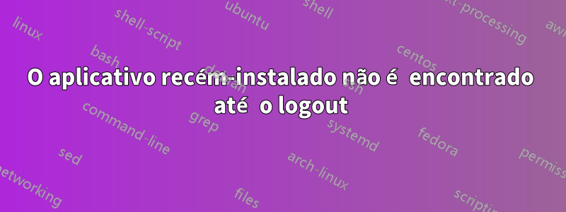 O aplicativo recém-instalado não é encontrado até o logout