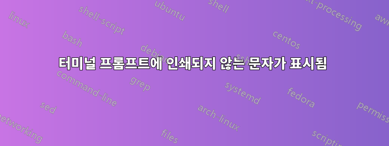 터미널 프롬프트에 인쇄되지 않는 문자가 표시됨