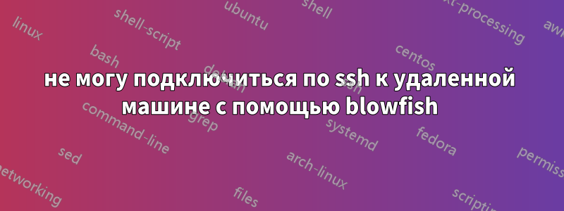 не могу подключиться по ssh к удаленной машине с помощью blowfish