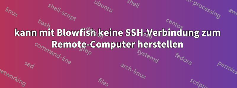 kann mit Blowfish keine SSH-Verbindung zum Remote-Computer herstellen