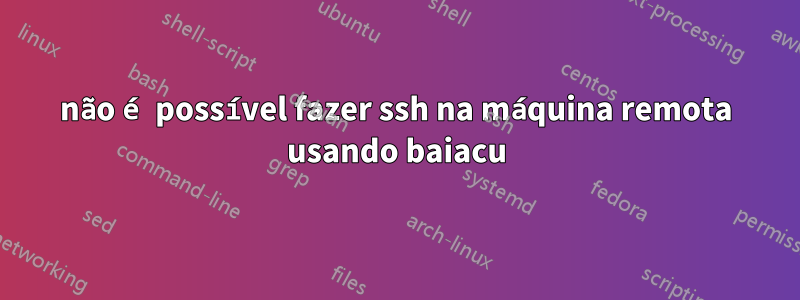 não é possível fazer ssh na máquina remota usando baiacu