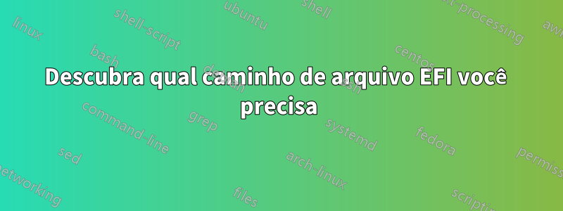 Descubra qual caminho de arquivo EFI você precisa