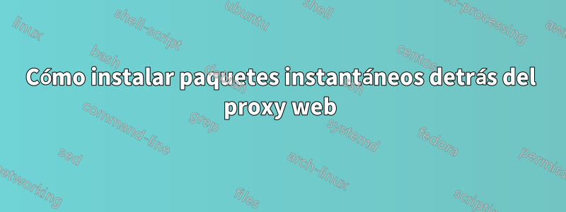 Cómo instalar paquetes instantáneos detrás del proxy web