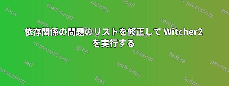 依存関係の問題のリストを修正して Witcher2 を実行する