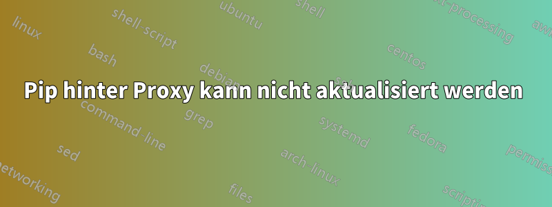 Pip hinter Proxy kann nicht aktualisiert werden