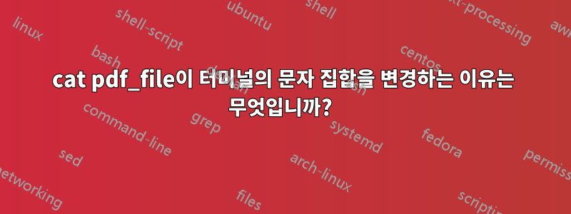 cat pdf_file이 터미널의 문자 집합을 변경하는 이유는 무엇입니까? 