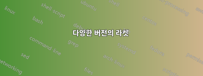 다양한 버전의 라켓