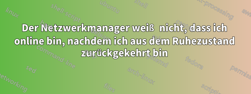 Der Netzwerkmanager weiß nicht, dass ich online bin, nachdem ich aus dem Ruhezustand zurückgekehrt bin