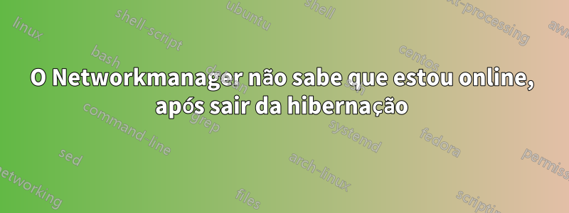 O Networkmanager não sabe que estou online, após sair da hibernação