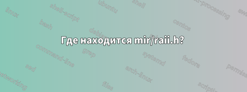 Где находится mir/raii.h?