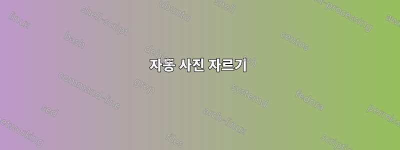 자동 사진 자르기