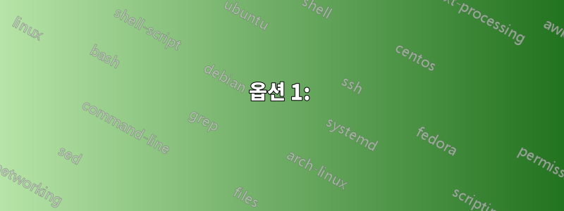 옵션 1: