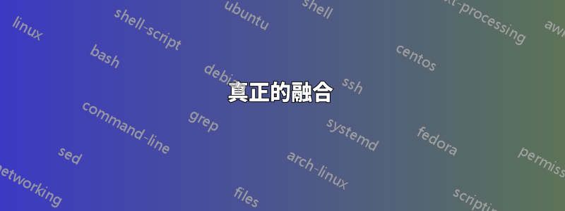 真正的融合