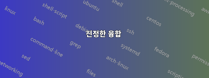 진정한 융합