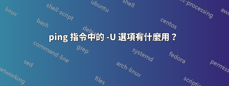 ping 指令中的 -U 選項有什麼用？