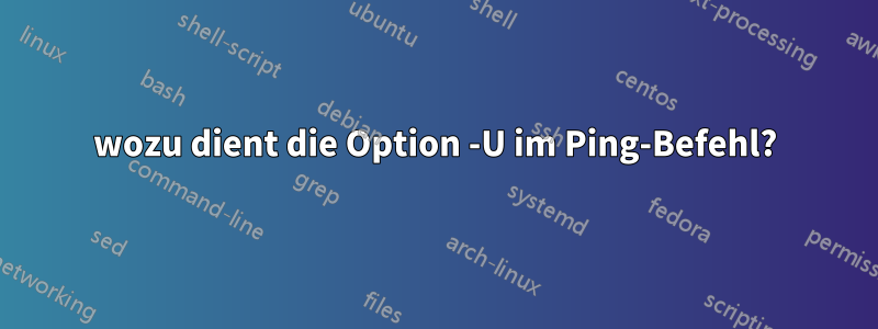 wozu dient die Option -U im Ping-Befehl?