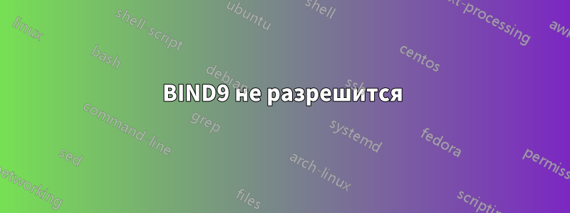 BIND9 не разрешится