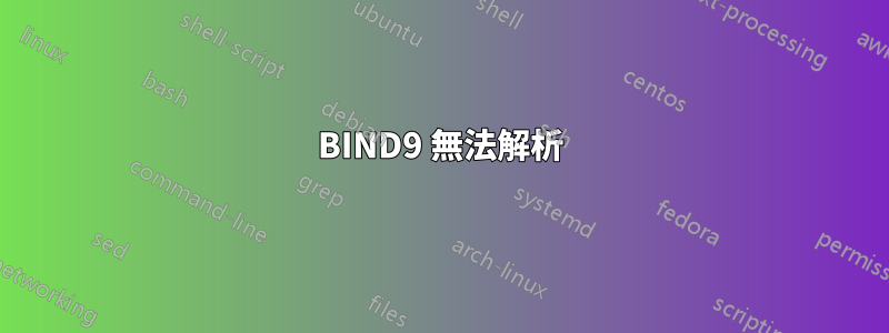 BIND9 無法解析