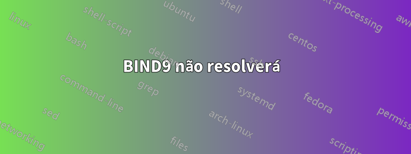 BIND9 não resolverá