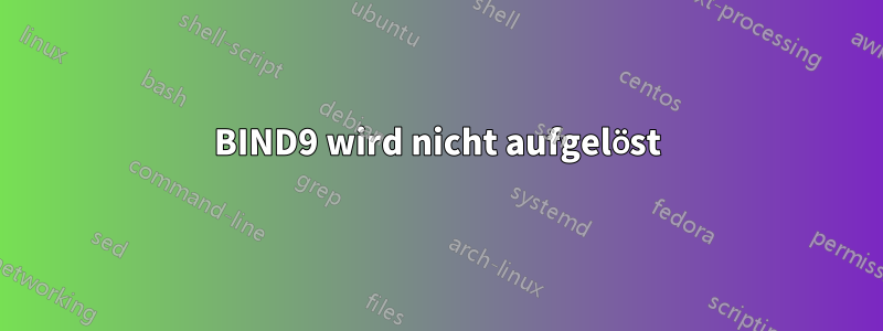 BIND9 wird nicht aufgelöst