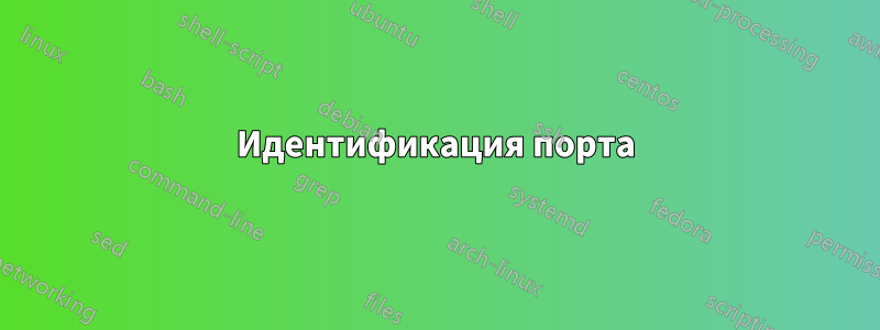 Идентификация порта