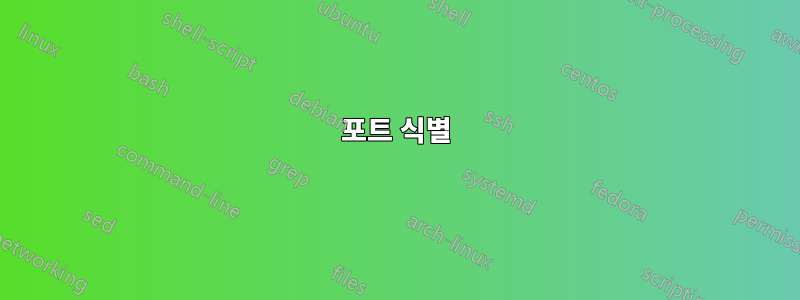 포트 식별