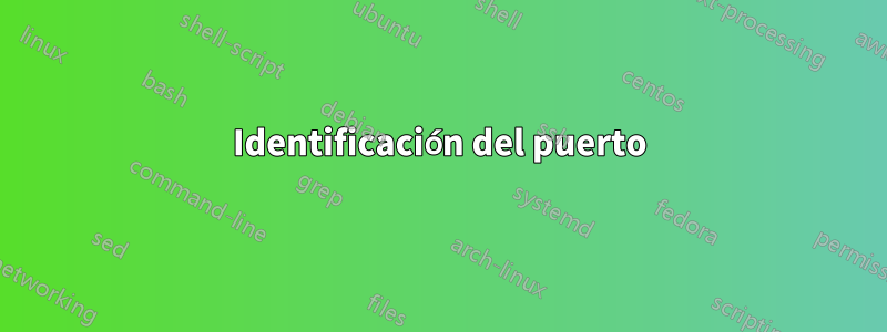 Identificación del puerto