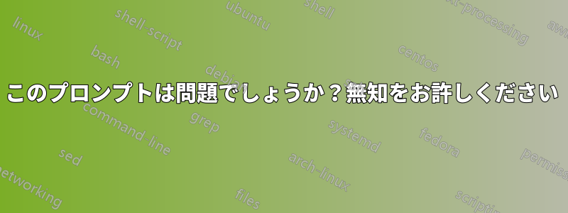 このプロンプトは問題でしょうか？無知をお許しください