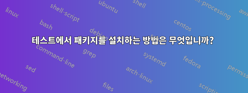 테스트에서 패키지를 설치하는 방법은 무엇입니까?