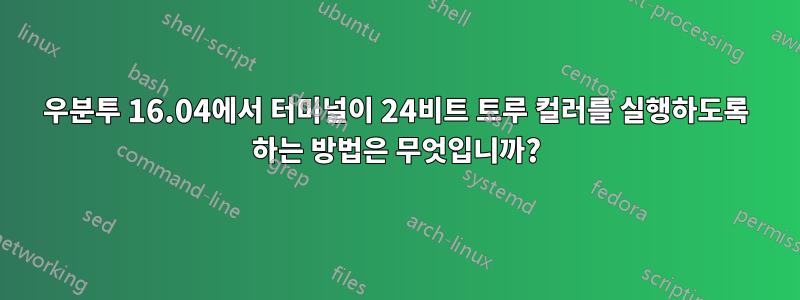 우분투 16.04에서 터미널이 24비트 트루 컬러를 실행하도록 하는 방법은 무엇입니까?