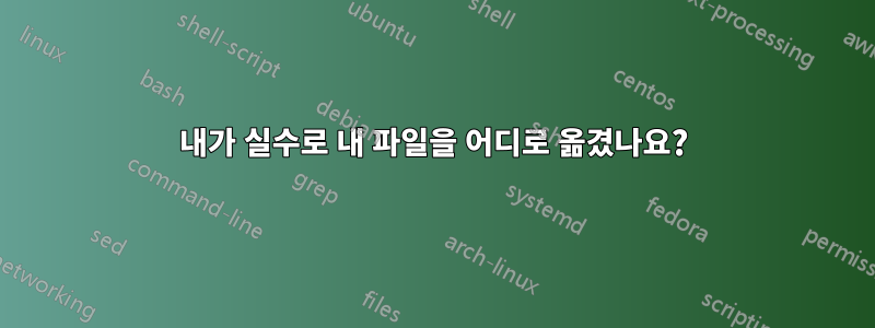 내가 실수로 내 파일을 어디로 옮겼나요?