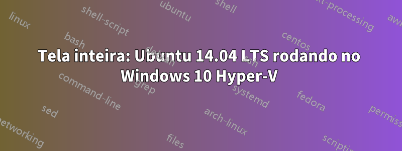 Tela inteira: Ubuntu 14.04 LTS rodando no Windows 10 Hyper-V