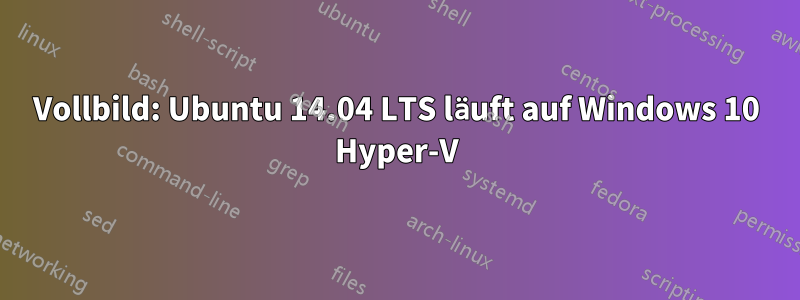 Vollbild: Ubuntu 14.04 LTS läuft auf Windows 10 Hyper-V