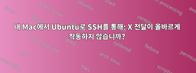 내 Mac에서 Ubuntu로 SSH를 통해: X 전달이 올바르게 작동하지 않습니까?