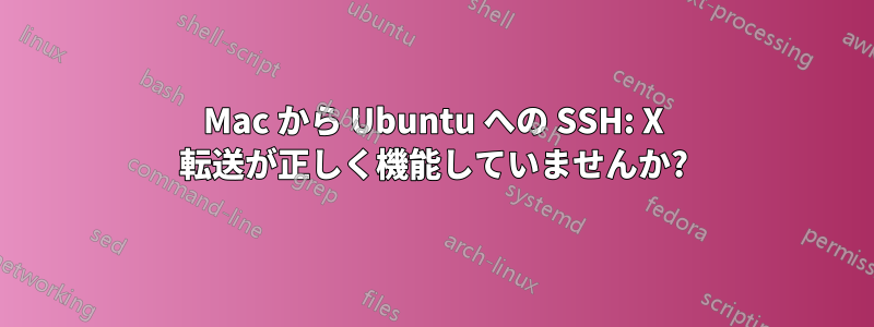 Mac から Ubuntu への SSH: X 転送が正しく機能していませんか?