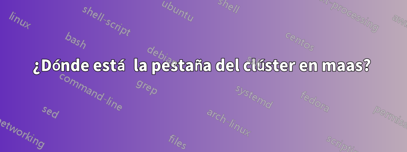 ¿Dónde está la pestaña del clúster en maas?