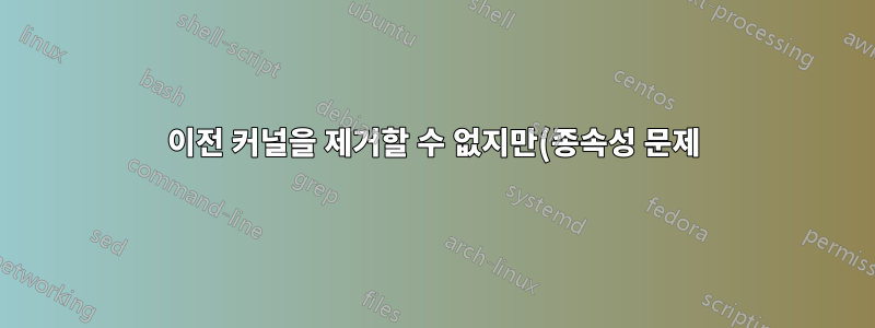 이전 커널을 제거할 수 없지만(종속성 문제) /boot에 공간이 부족합니다.