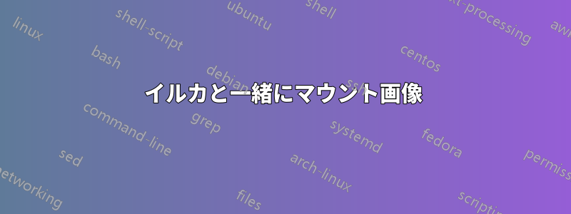 イルカと一緒にマウント画像