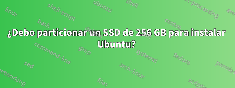 ¿Debo particionar un SSD de 256 GB para instalar Ubuntu?