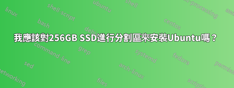 我應該對256GB SSD進行分割區來安裝Ubuntu嗎？