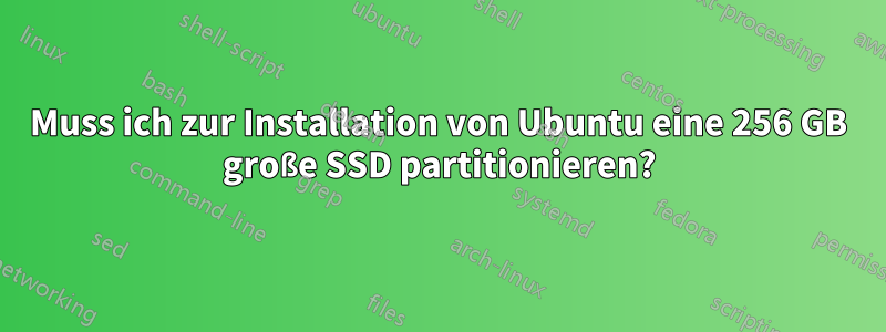 Muss ich zur Installation von Ubuntu eine 256 GB große SSD partitionieren?