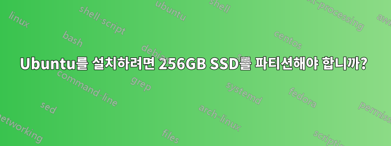 Ubuntu를 설치하려면 256GB SSD를 파티션해야 합니까?