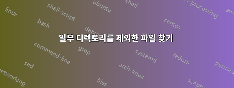 일부 디렉토리를 제외한 파일 찾기