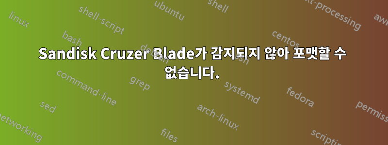 Sandisk Cruzer Blade가 감지되지 않아 포맷할 수 없습니다.