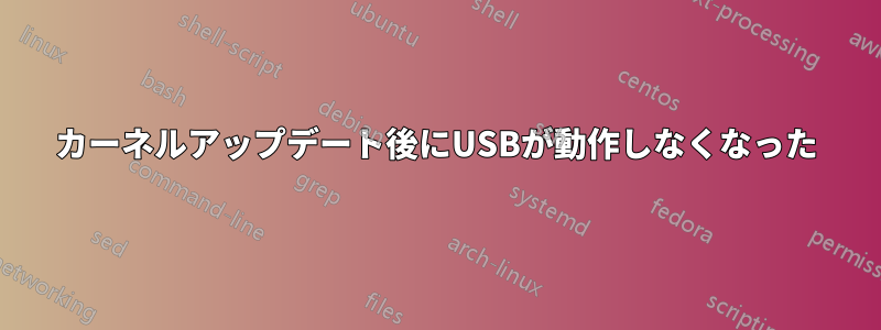 カーネルアップデート後にUSBが動作しなくなった